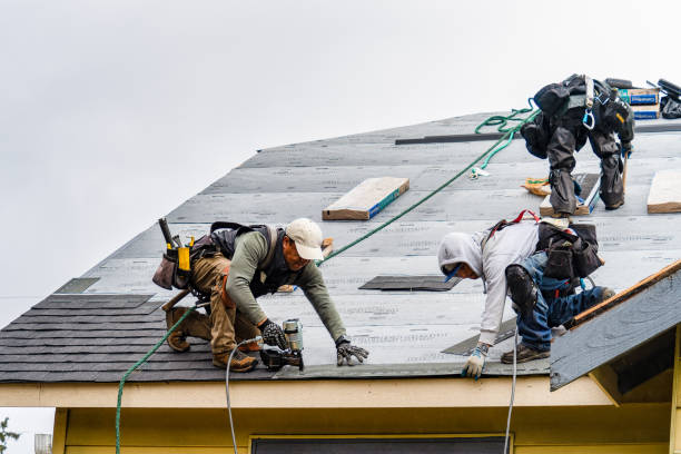 Professional Storm Damage Roof Repair technician working in Bristol, IN